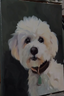A Gift of Enduring Love: Sophisticated Pet Memorial Gift Ideas